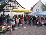 Maibaum 2009 146